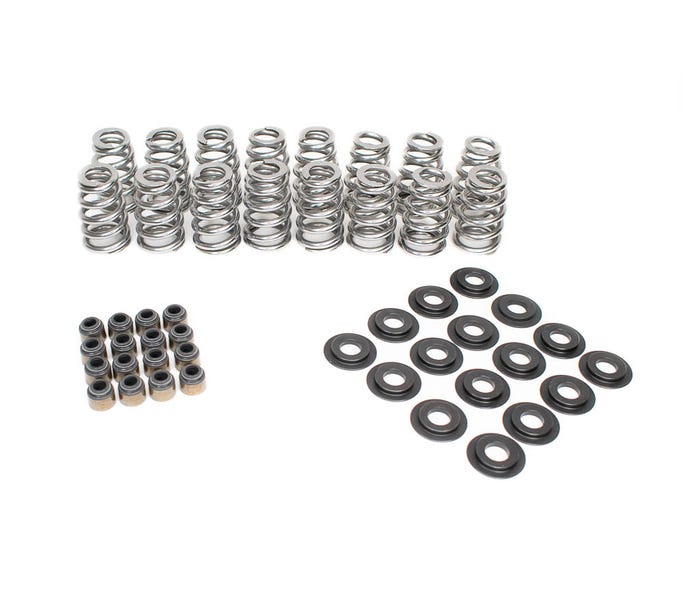 BTR .625 Lift Valve Spring Kit - SK018